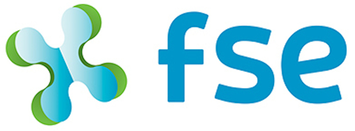 logo fse